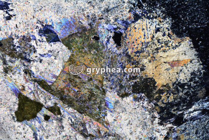 Métagabbro à glaucophane LPA x3,5 - gryphea.org